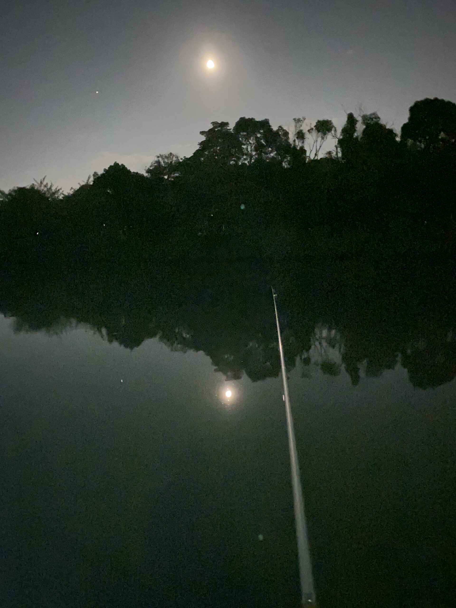 月夜の夜釣り
