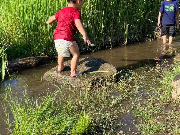 水遊びする幼児